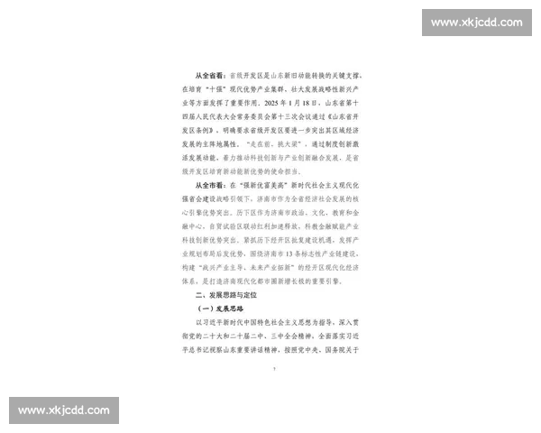 2025 上半年收官：政策赋能下的经济攻坚与下半年战略布局