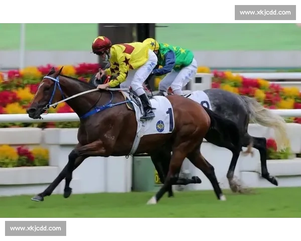 全球联动！无畏契约泛亚洲赛事，谁能问鼎亚洲之巅！