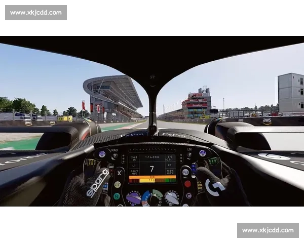 媒体视角：F1冠军争夺榜，一场关于勇气与智慧的史诗！